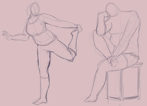 Anatomy Sketches